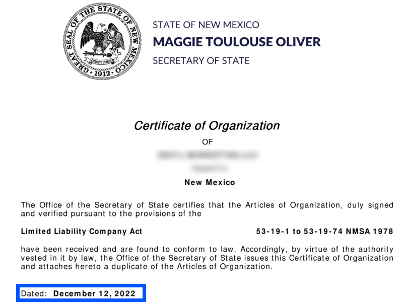 Articles of Organization Example 2